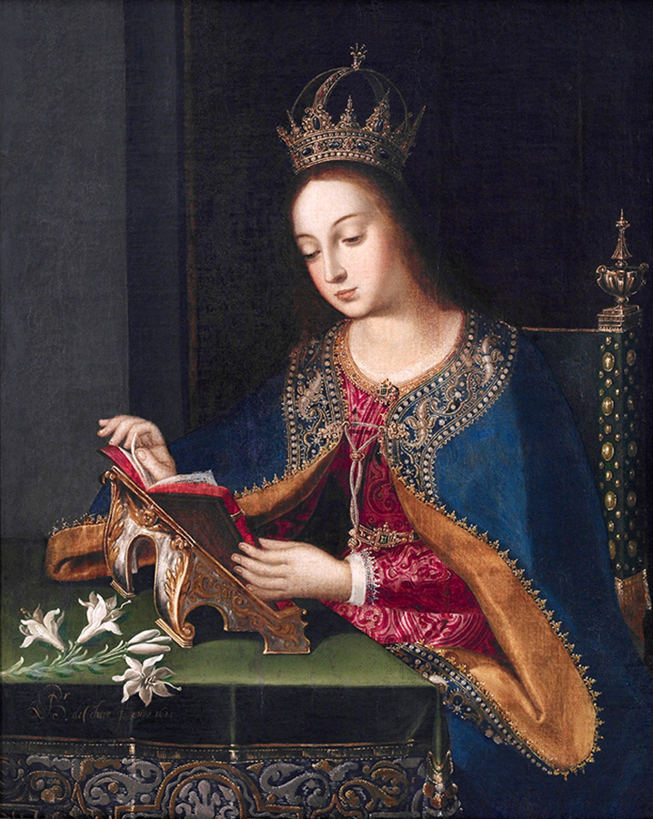 virgin reading